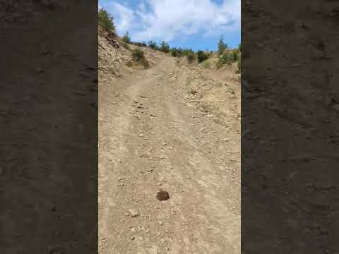 A walk in nature