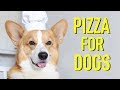 Pizza for dogs  topi the corgi