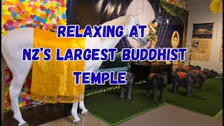 Relaxing at NZ's Largest Buddhist Temple screenshot 1