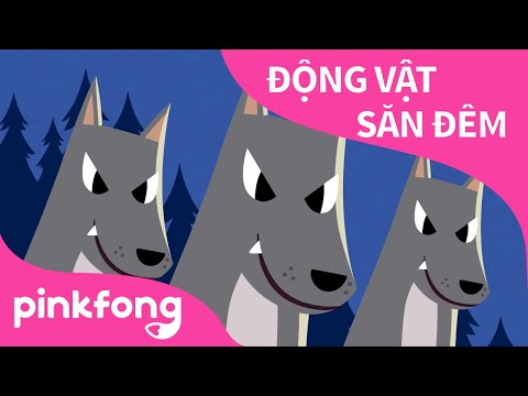Video Động Vật Săn Đêm | Bài hát về Động Vật | Pinkfong!... - youtube