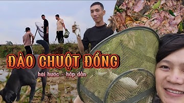 TRÚNG MÁNH SĂN ĐÀO CHUỘT ĐỒNG sau mùa vụ lúa bỏ hoang..!  #amthuc #sinhton