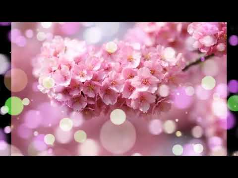 Best Spring with BTS💜🌸🌸🌸💜