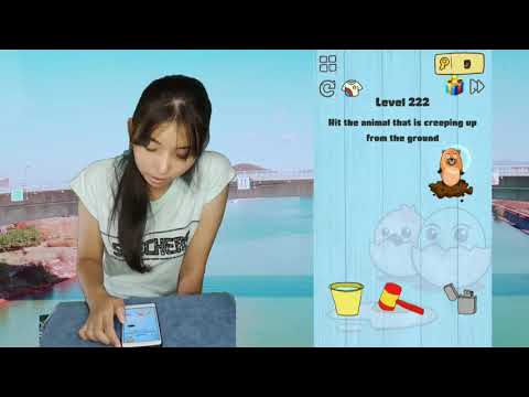 Brain Crazy Level