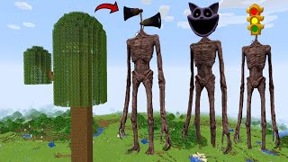 Information i Found Scariest CATNAP 😱 in Minecraft | Minecraft Horror Update
