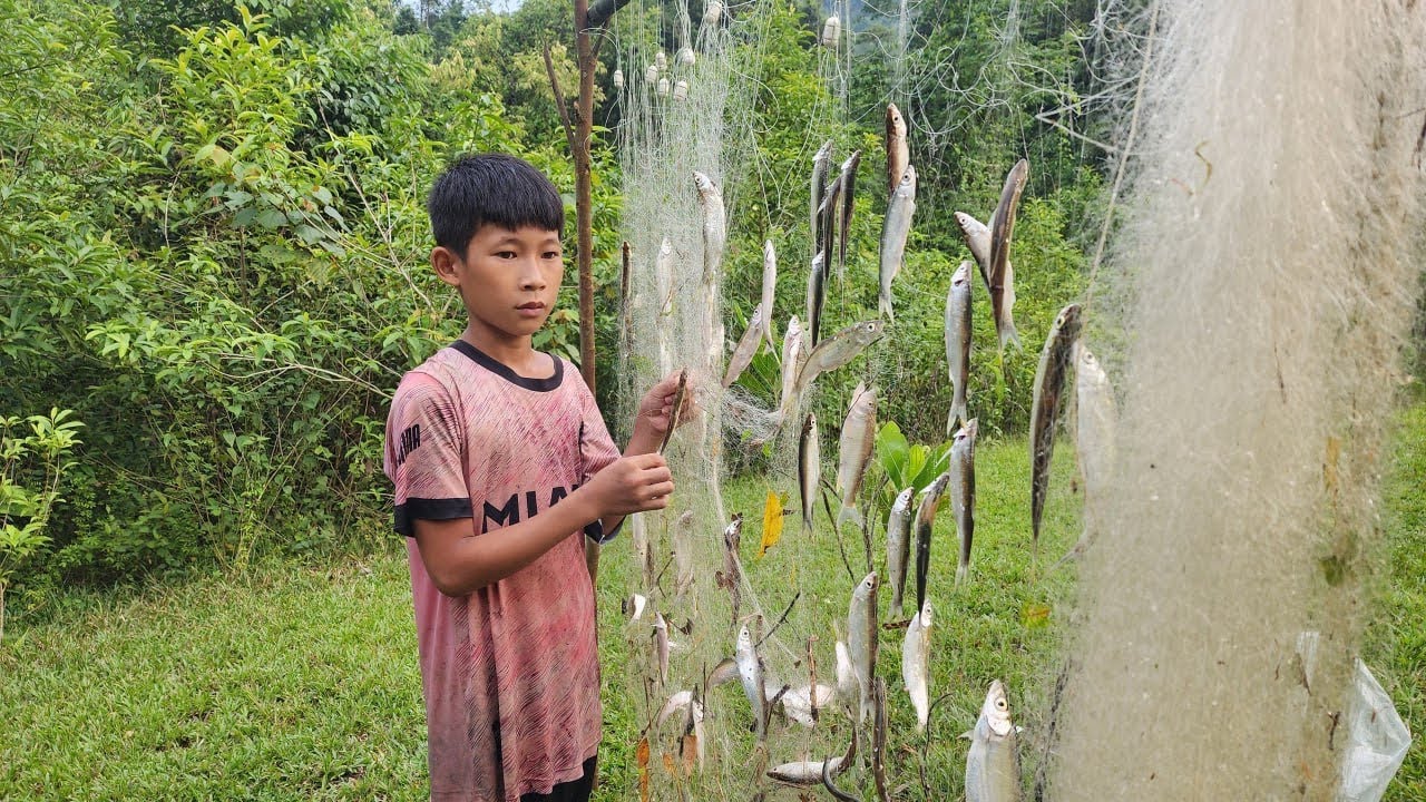 Surviving in the Wild: Release nets to Catch During Flood Season - The ...