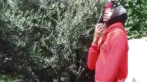 DC the Don - Mr not nice