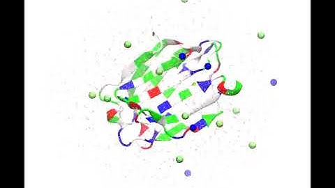 Galectin-3 Simulation