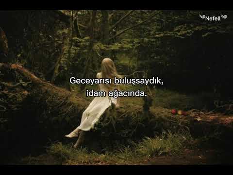 Jennifer Lawrence - The Hanging Tree (Türkçe Çeviri)