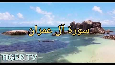 سورة آل عمران بصوت القارئ المغربي إلياس حجري 