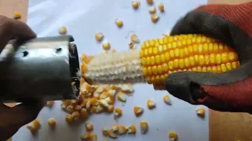 How to make a simple corn sheller at home / Diy / मक्का छिलने का मशीन making at home