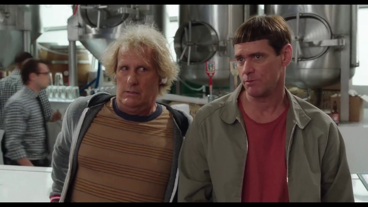 Dumb and Dumber 2 | 2014 comedy scene in Hindi 