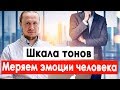 Шкала эмоциональных тонов человека. Шкала тонов. Как добиться успеха в бизнесе