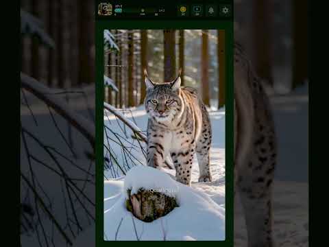 Imagem da captura de tela