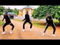 Mr Drew, This Year ft. Medikal Dance Video