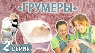 "Грумеры" сериал. Вторая серия "Грумеры" сериал. Вторая серия