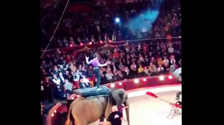 Rene Casselly , quadruple salto