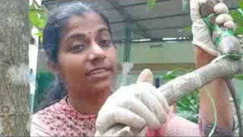 Std 7 Basic Science Unit 1 Class 02 White Board ID