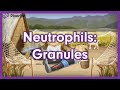 Neutrophil Granules Mnemonic for USMLE