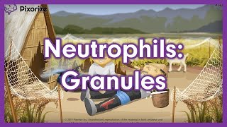 Neutrophil Granules Mnemonic for USMLE