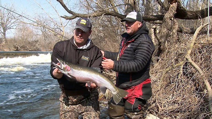 Spring Steelhead on the Milwaukee River