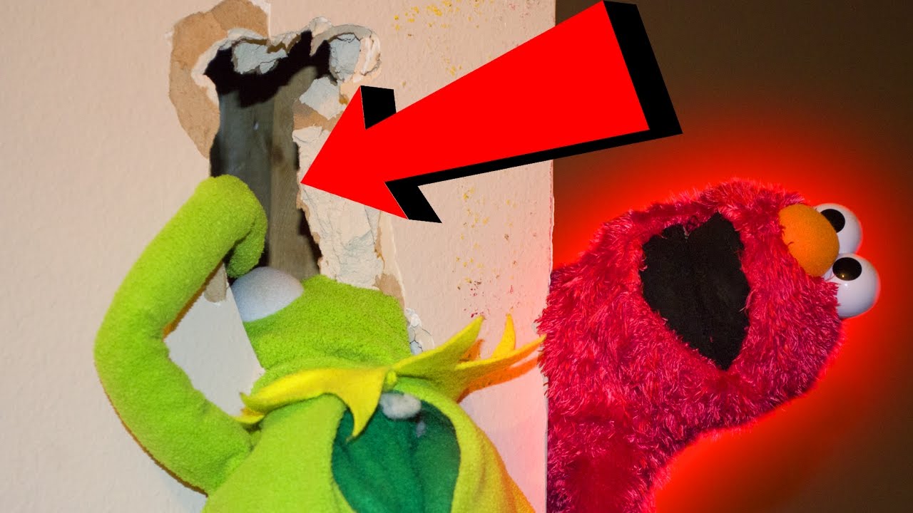 Elmo Pranks Kermit The Frog Gone Wrong Youtube