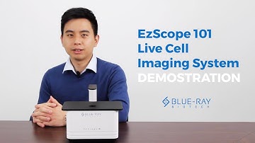 EzScope 101 Live Cell Imaging System Demonstration │Blue-Ray Biotech