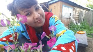 На пляже! Жарим шашлыки! Затмение! На пляже! Жарим шашлыки! Затмение!