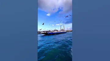 عارف يا هوى ايه الحكاية مكتوب عالمي ه قصتها معايا 