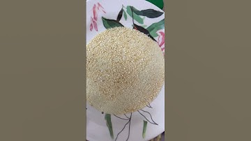 Resepi Sup tulang Tom saap yang tengah viral sedap, simple dan mudah #resepimudah #foodie #resepi