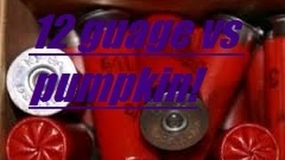 12 Guage, Slug 00Buck And 7 12 Bird Vs Pumpkin.