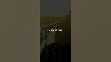 يَوْمَ لَا يُخْزِي اللَّهُ النَّبِيَّ || سورة التحريم اسلام صبحي
