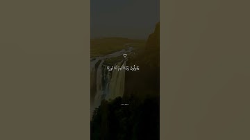 يَوْمَ لَا يُخْزِي اللَّهُ النَّبِيَّ || سورة التحريم اسلام صبحي