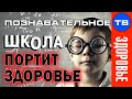 Врач честно: Школа ПОРТИТ здоровье! (Познавательное ТВ, Игорь Колотупов)