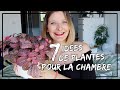 7 ides de plantes pour la chambre  coucher