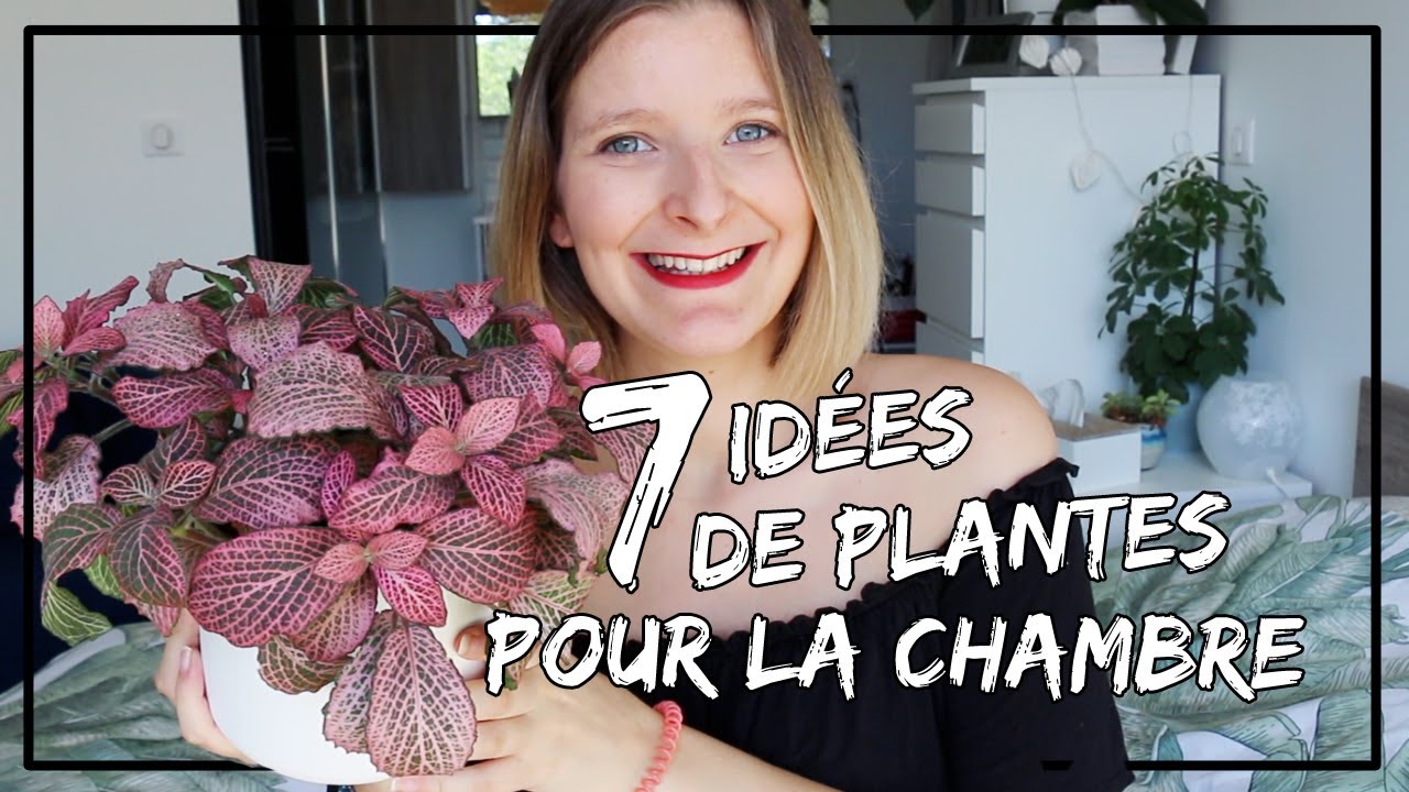 7 idées de plantes pour la chambre à coucher - YouTube