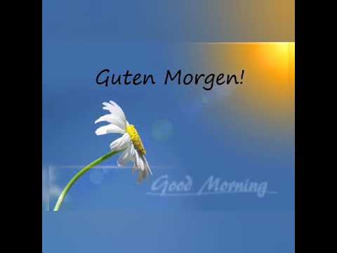 Guten Morgen!