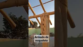 proceso constructivo palapa #2023  #construction  #proceso