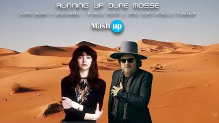 Running Up Dune Mosse - Kate Bush X Zucchero - Paolo Monti & Rino Santaniello Mashup