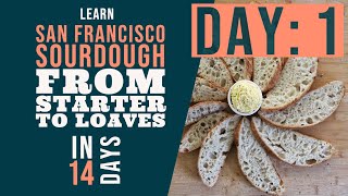 San Francisco Sourdough Bread Series: Day 1 - What you'll need