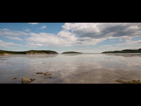 Un gouvernement populaire pour le Québec