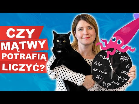 Wideo: Co to znaczy być biegłym matematycznie?