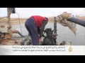 انخفاض إنتاج القمح في مدينة