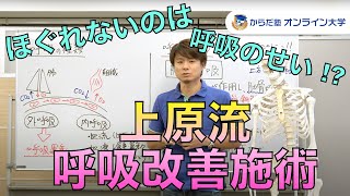 【上原流・呼吸改善施術】①理論：呼吸のメカニズム