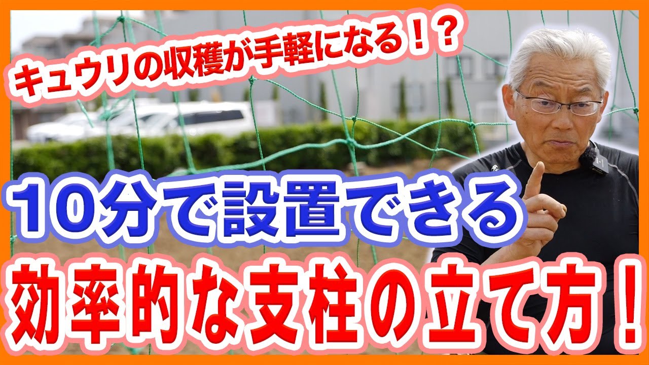 家庭菜園や農園のキュウリ栽培で10分で設置できる効率的な支柱の立て方！【農家直伝】