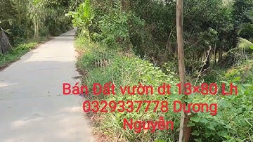 Nhà Đất Bán Đất Vườn dt 1000m2 Giá 47tr Mét Ngang Kiến Tường LA