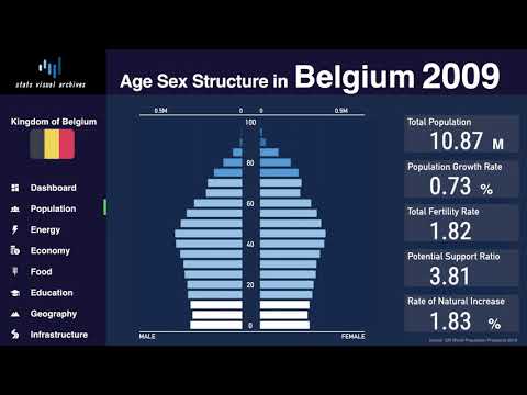 Belgium - Changing of Population Pyramid & Demographics (1950-2100)