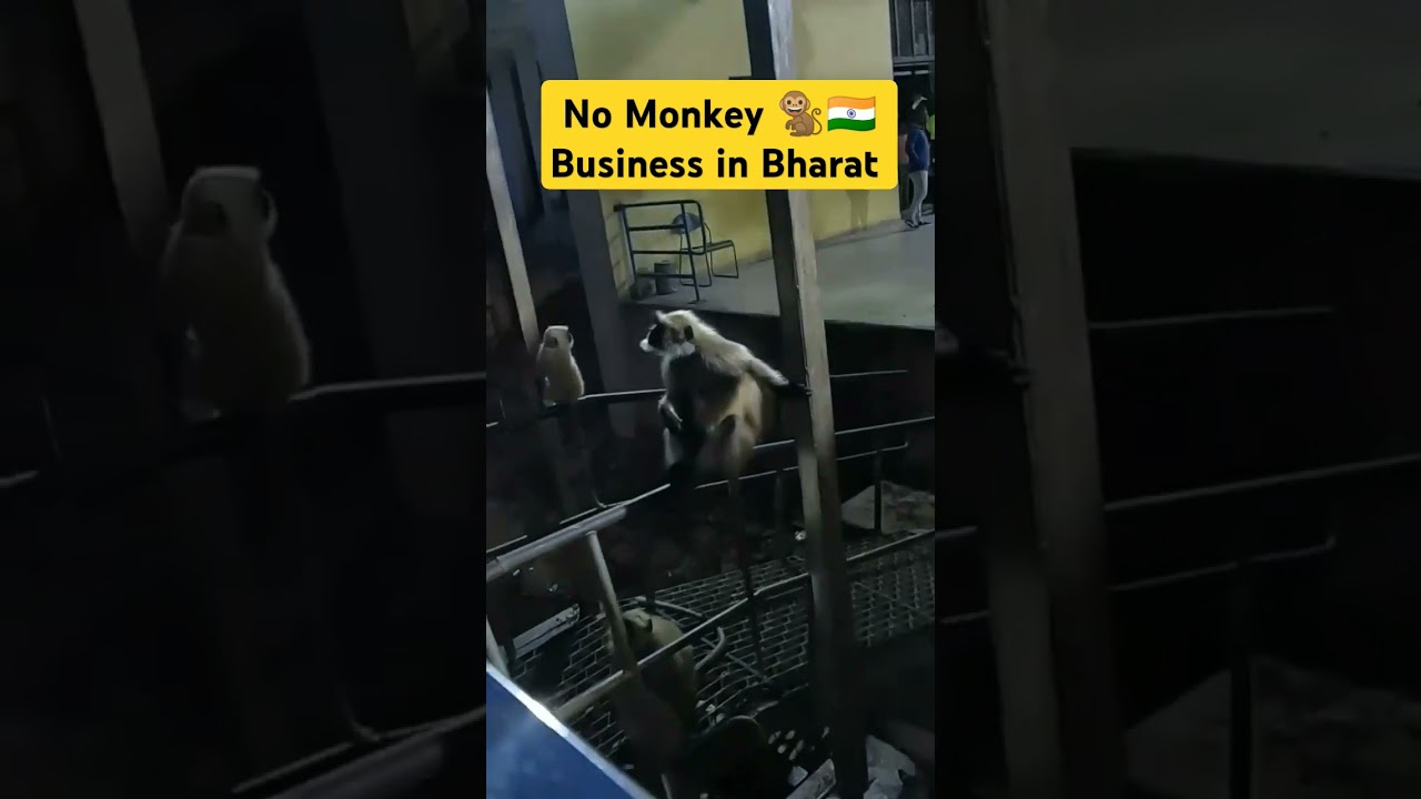 No Monkey 🐒 Business In Bharat 