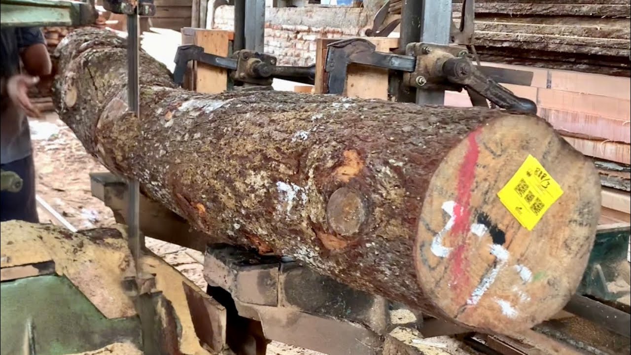 Crooked wood cutting using bandsaw machine in wood factory YouTube