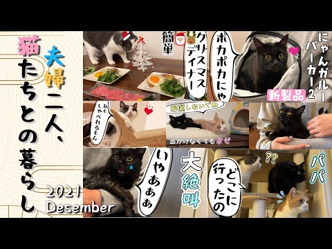 猫夫人(=^ェ^=)様 intimissimiリクエスト 2点 まとめ商品 Amazon | トイゼロプラス(TOYZEROPLUS) x CICI S STORY 子豚LULU