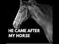 HE TARGETED MY HORSE, WHO GAVE ME STRENGTH. #story #narcissism #healing #empowerment #journey